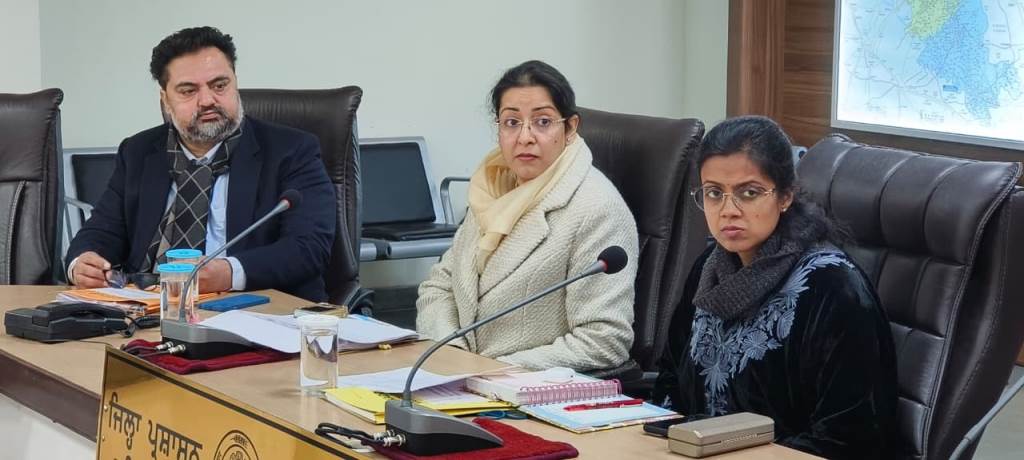 Deputy Commissioner reviews progress of schemes during revenue officers meeting
